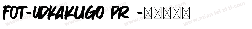 FOT-UDKakugo Pr6字体转换